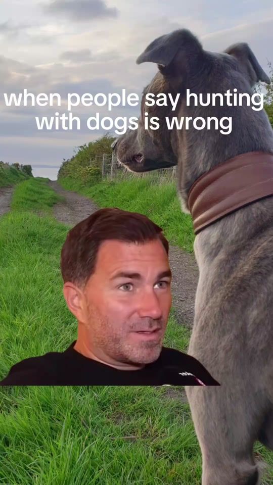 TikTok video thumbnail by davidhooper567