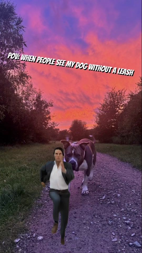 TikTok video thumbnail by xxlbalu