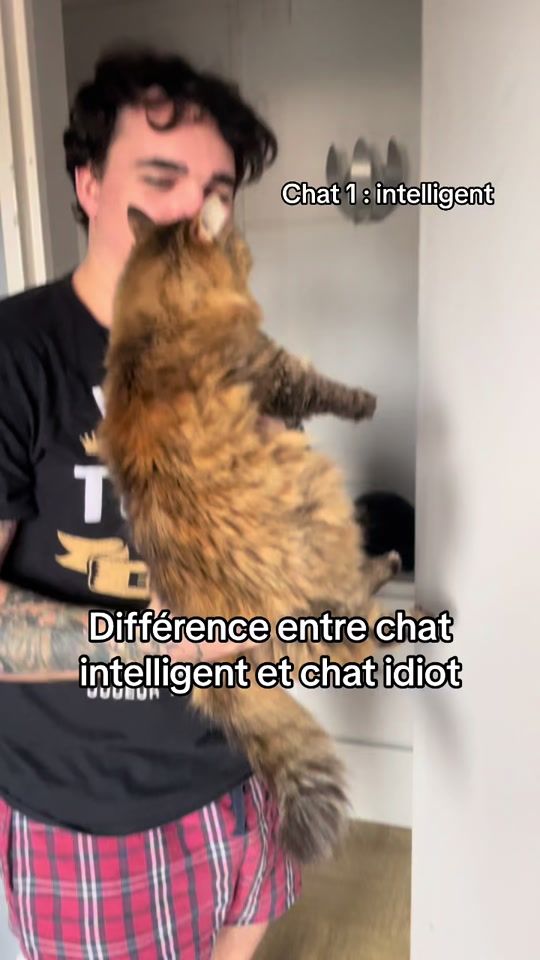 TikTok video thumbnail by maumaud4