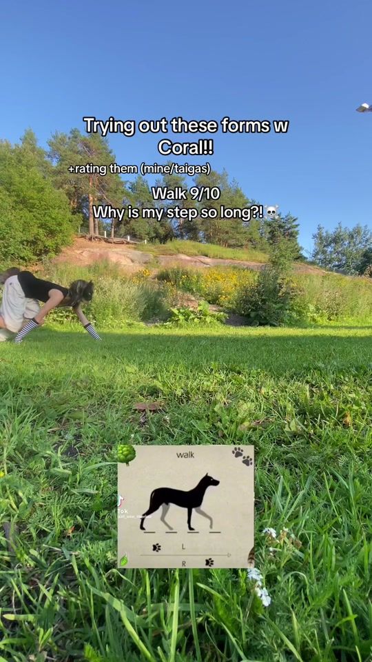 TikTok video thumbnail by taigasscratch