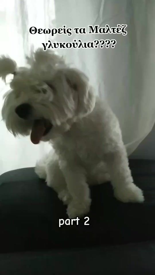 TikTok video thumbnail by gets_u