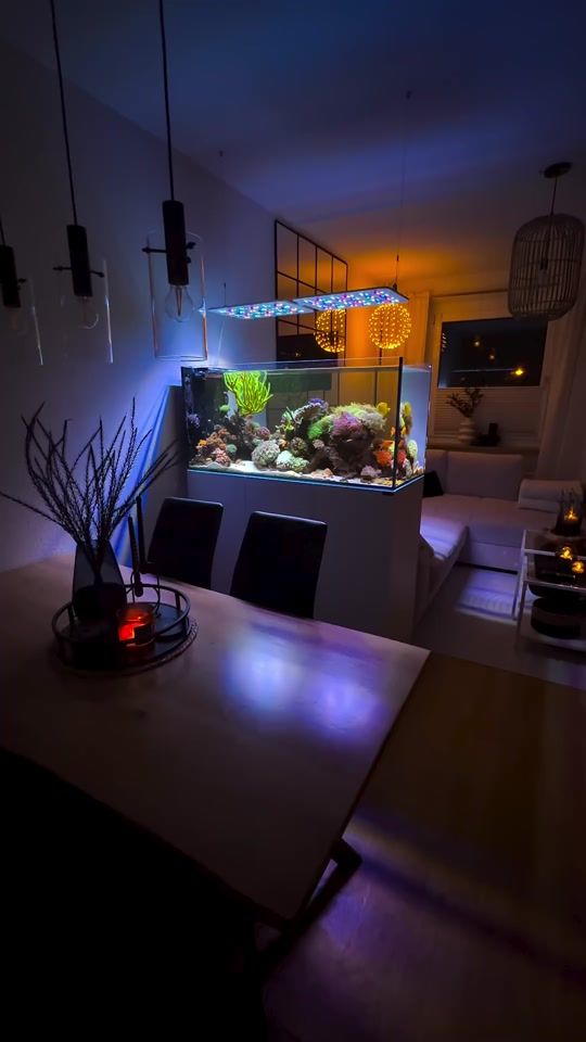 TikTok video thumbnail by worldofreefs2