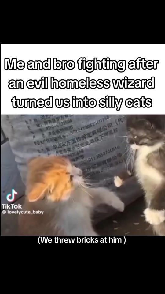 TikTok video thumbnail by galioncho