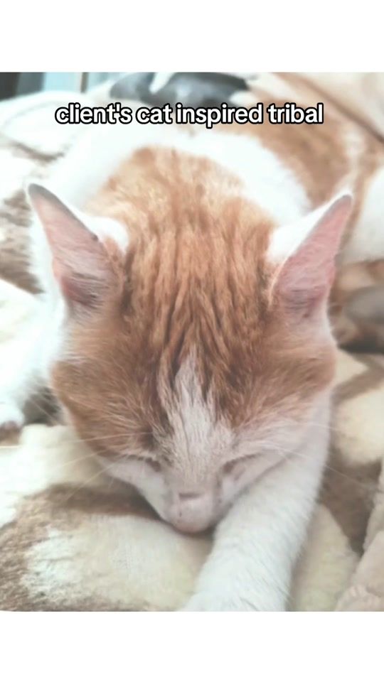 TikTok video thumbnail by bebzol.tattoo