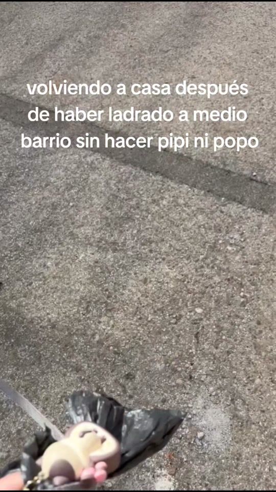 TikTok video thumbnail by isaabeldiiaaz