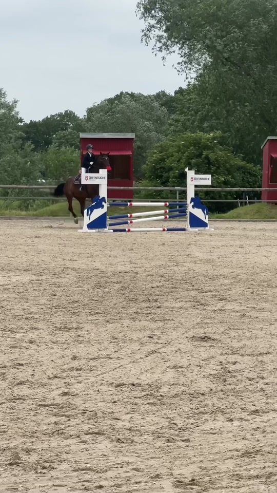TikTok video thumbnail by bruno_pico2