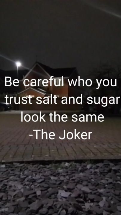 TikTok video thumbnail by hol_on_paws