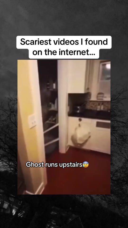 TikTok video thumbnail by hauntingfactss