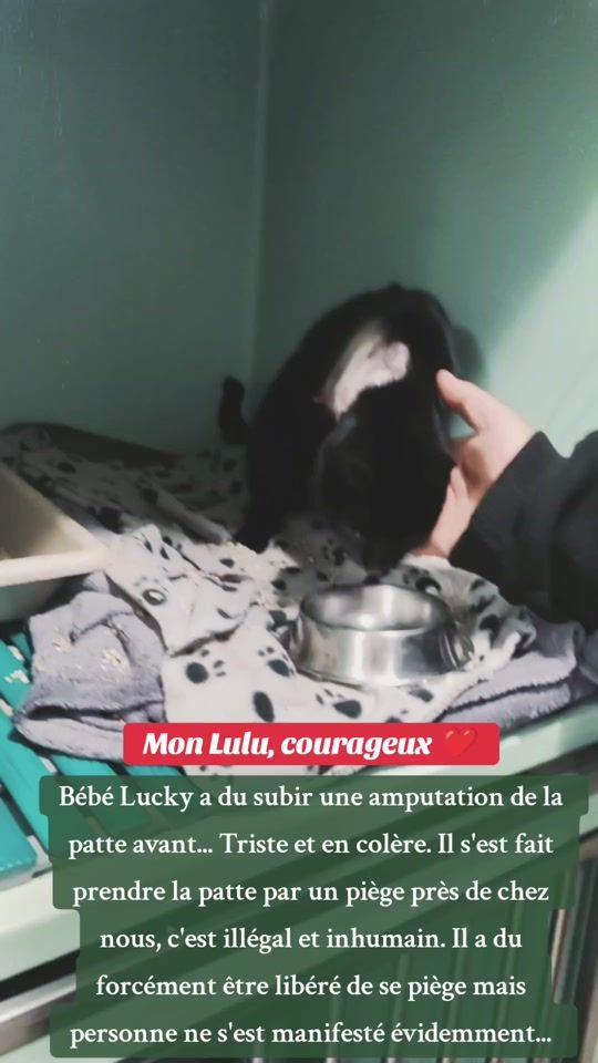 TikTok video thumbnail by juliecm.28.17