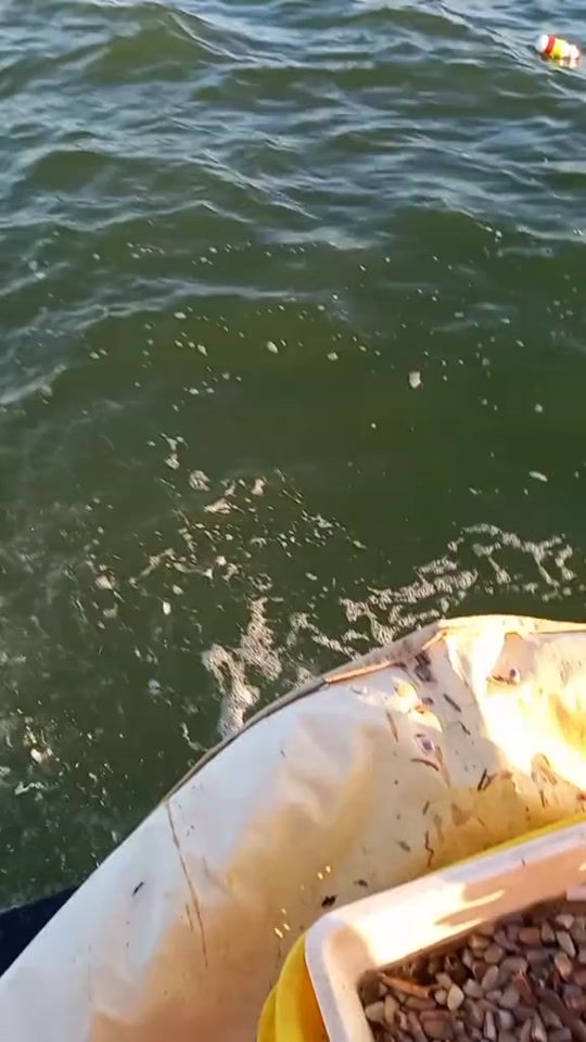 TikTok video thumbnail by salvatoredambrosio75