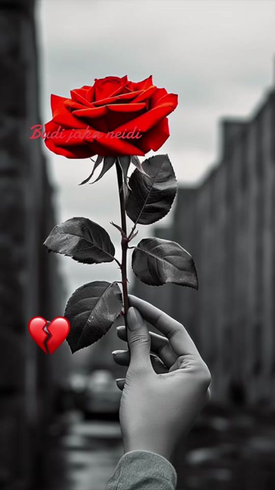 TikTok video thumbnail by mirnesadd123