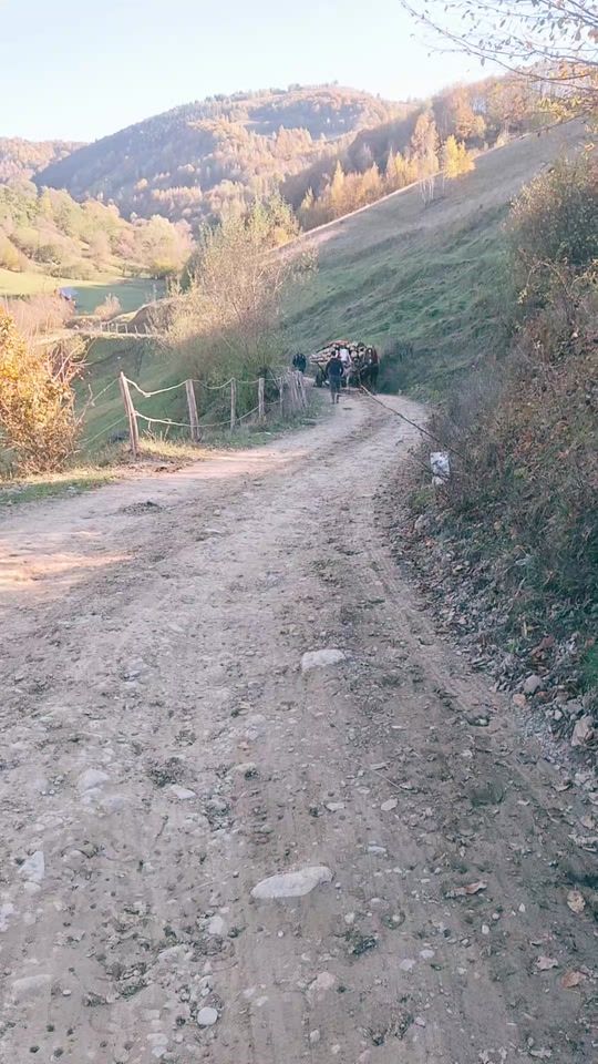 TikTok video thumbnail by cristijrj