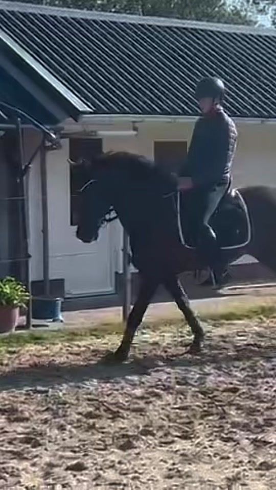 TikTok video thumbnail by jorn.visser