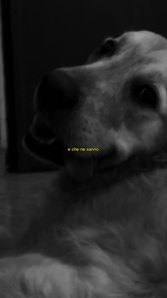 TikTok video thumbnail by chiaracapitanoo