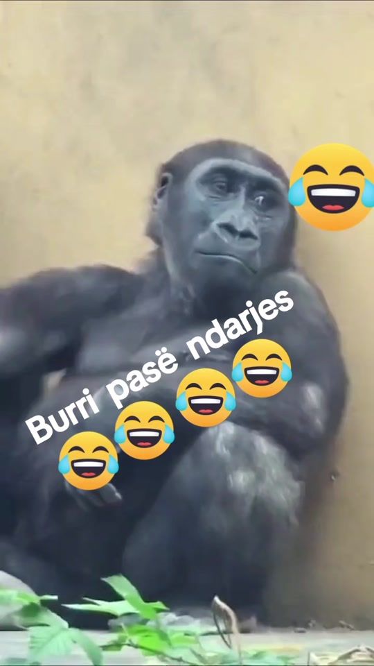 TikTok video thumbnail by d...d....gj