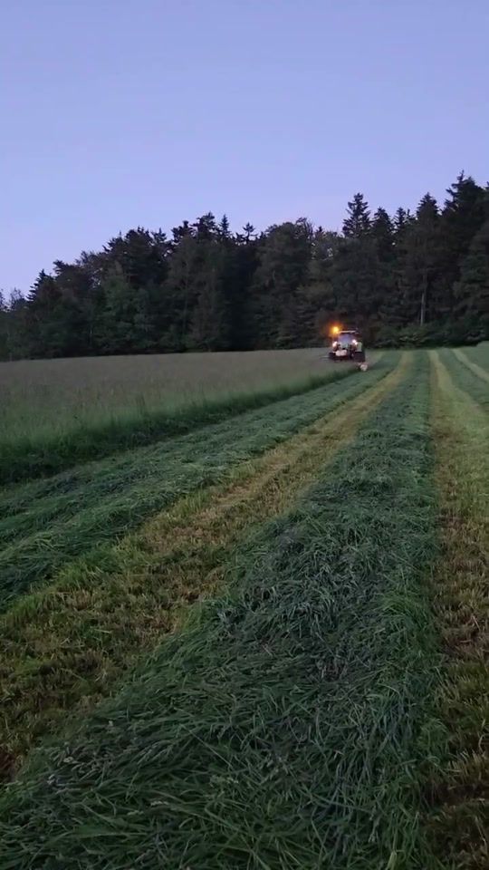 TikTok video thumbnail by luaga_agrar