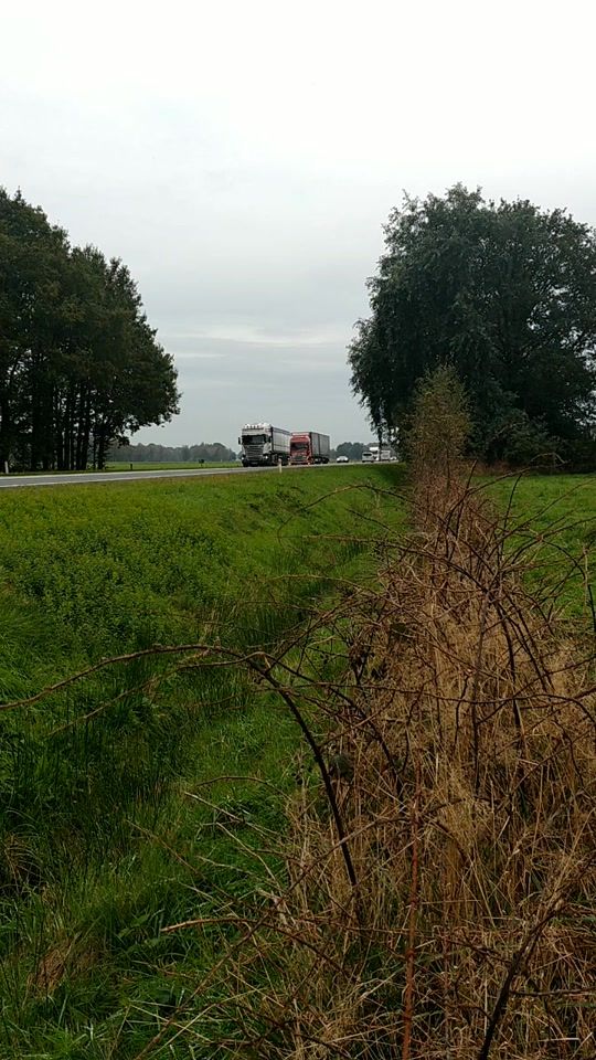 TikTok video thumbnail by rhtruckshots