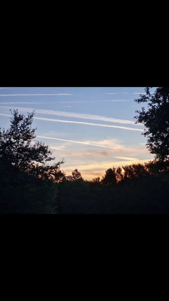 TikTok video thumbnail by snoopy_lola_alfie