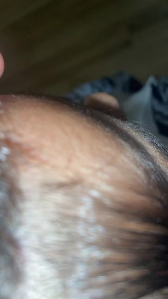 TikTok video thumbnail by dortmund.catz