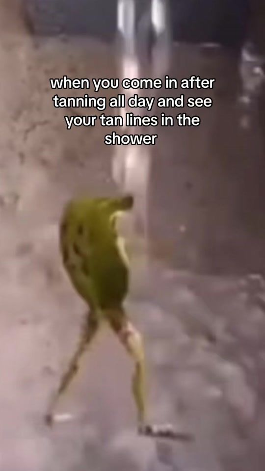 TikTok video thumbnail by itsjustl1fe