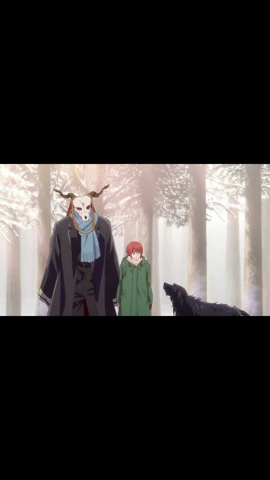 TikTok video thumbnail by the_princess_fox