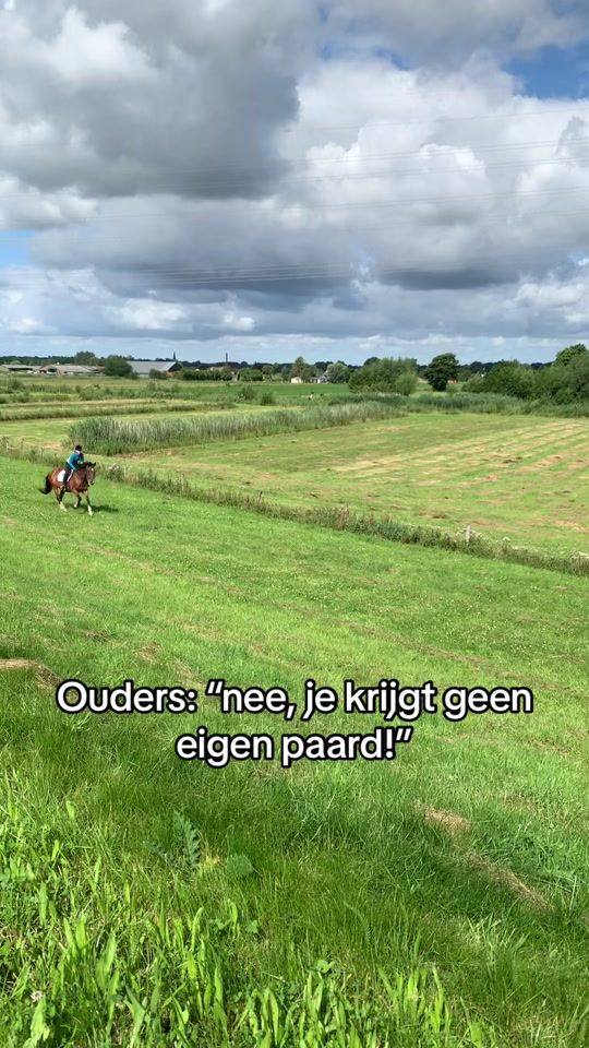 TikTok video thumbnail by banjerdehaflinger