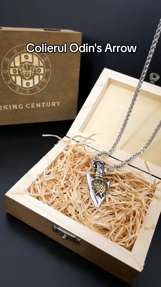 TikTok video thumbnail by vikingcentury.ro