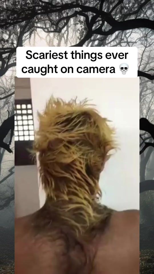 TikTok video thumbnail by scarytimcheese