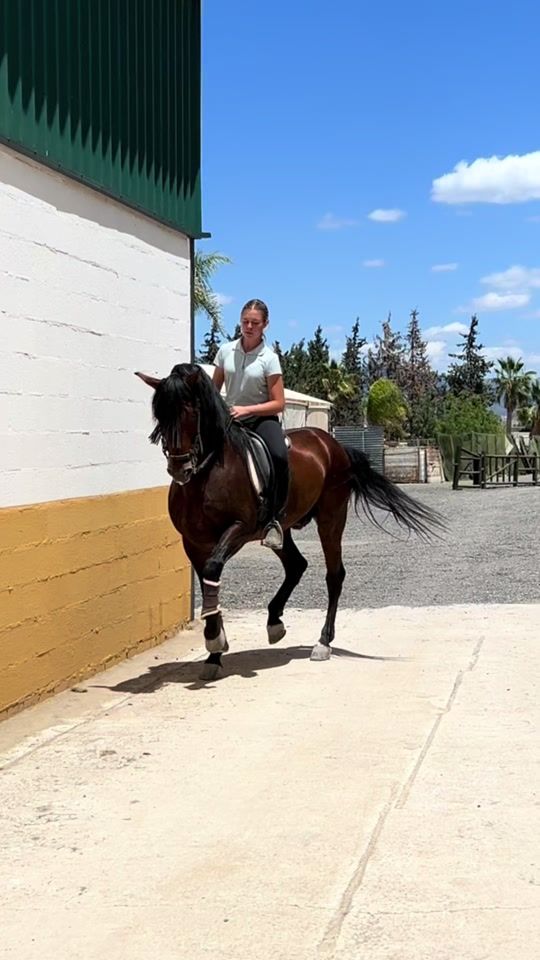 TikTok video thumbnail by noastn