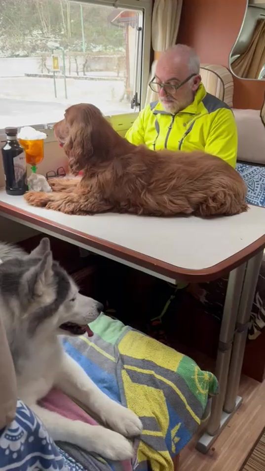 TikTok video thumbnail by stefanomatessich