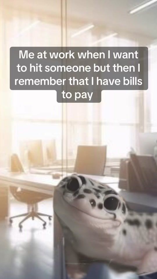 TikTok video thumbnail by funny.work.memes