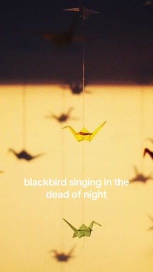 TikTok video thumbnail by k4tarina8