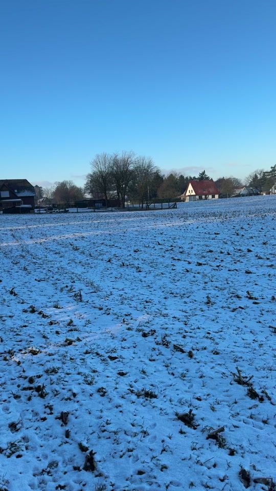 TikTok video thumbnail by dave_xs_