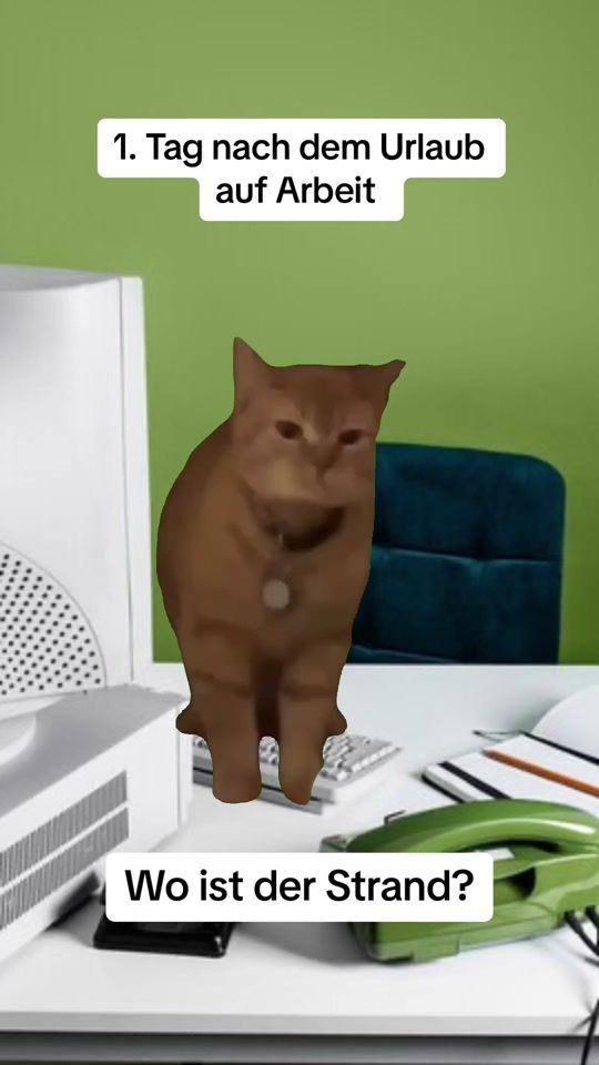 TikTok video thumbnail by jani.krz