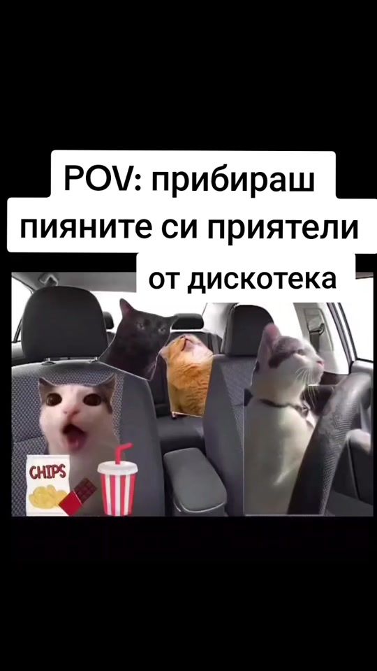 TikTok video thumbnail by petio_rudov