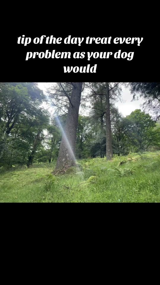 TikTok video thumbnail by amandajanehiking