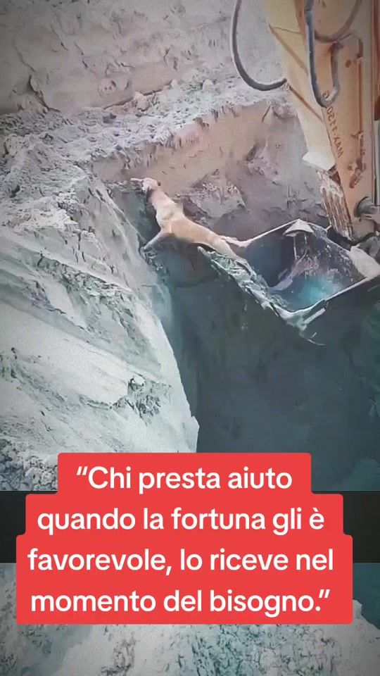 TikTok video thumbnail by vigile.delfuoco