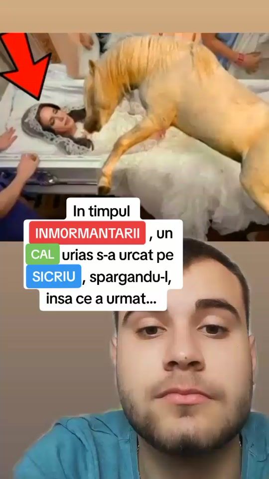 TikTok video thumbnail by bogdan_iancu