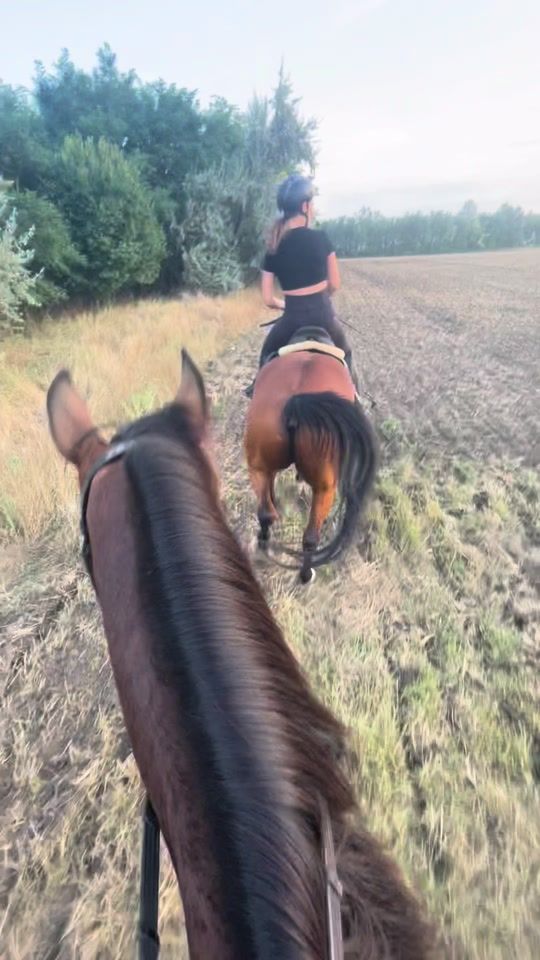 TikTok video thumbnail by luca_forgo