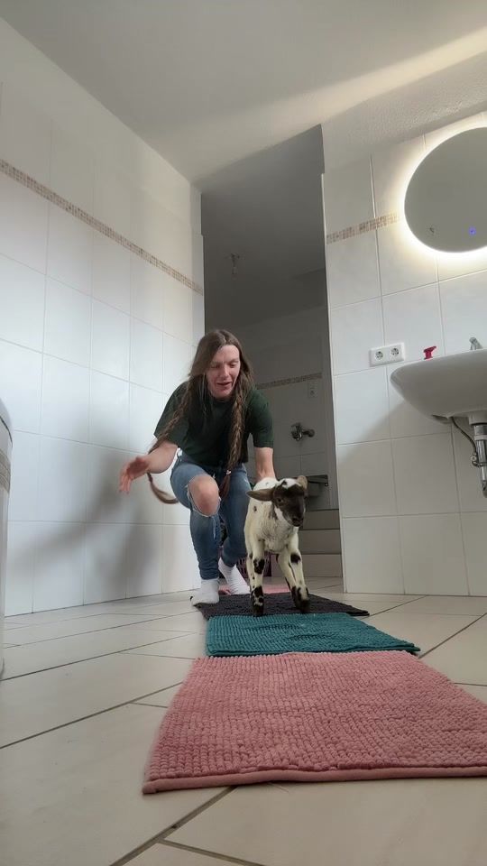 TikTok video thumbnail by hafihorse2