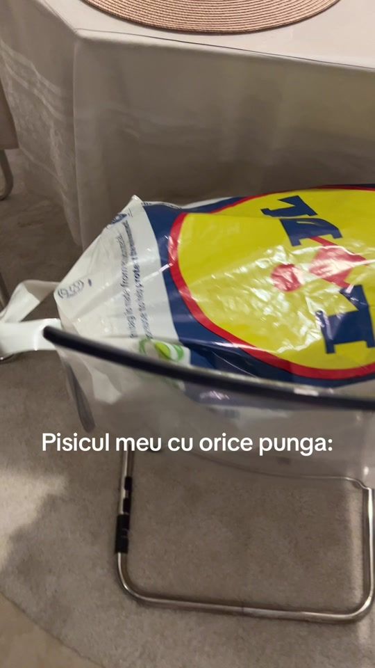 TikTok video thumbnail by mango.thecat1