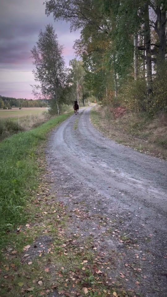 TikTok video thumbnail by snigelfart4