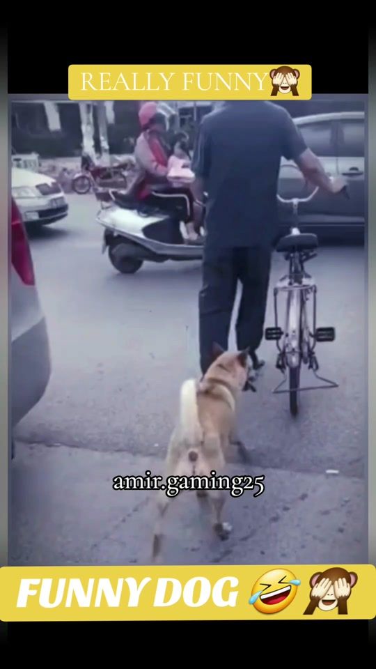 TikTok video thumbnail by amir.gaming25