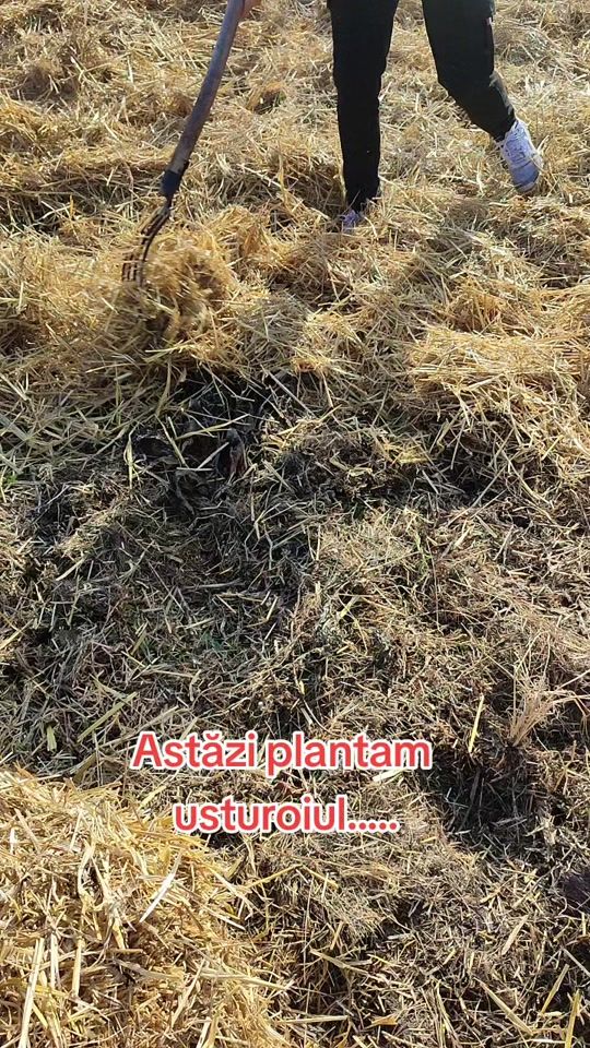 TikTok video thumbnail by mariusivascu370