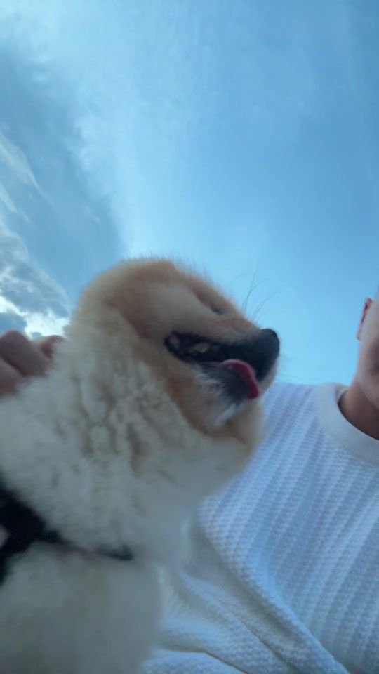 TikTok video thumbnail by n.cgn3