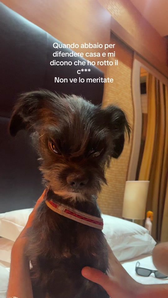 TikTok video thumbnail by lau_vsc