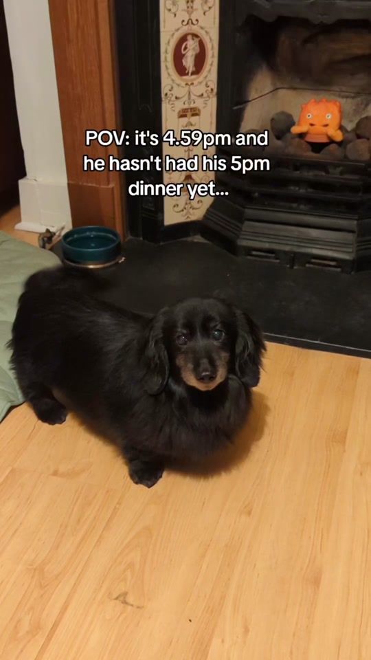 TikTok video thumbnail by oreo.boyboy