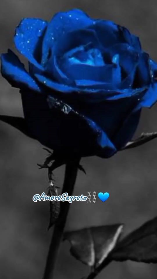 TikTok video thumbnail by amore.segreto1