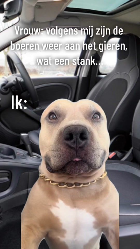 TikTok video thumbnail by rieksie90
