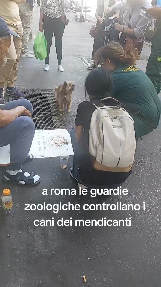 TikTok video thumbnail by giannispagnuolo0